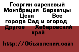 Георгин сиреневый. Монтбреция. Бархатцы.  › Цена ­ 100 - Все города Сад и огород » Другое   . Хабаровский край